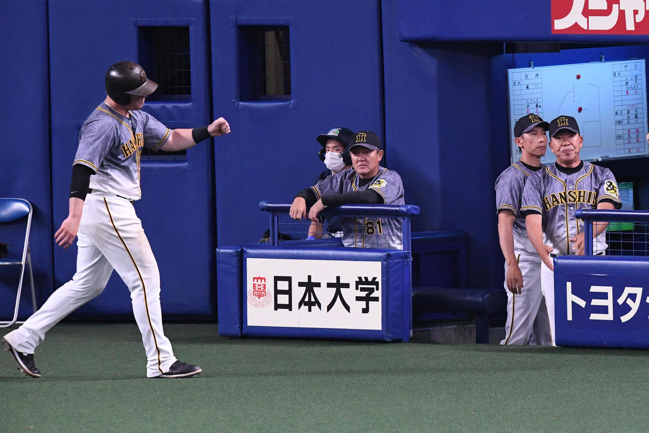 中日対阪神　9回表阪神無死、右越え本塁打を放ったボーアを迎える矢野監督（中央）（撮影・前岡正明）