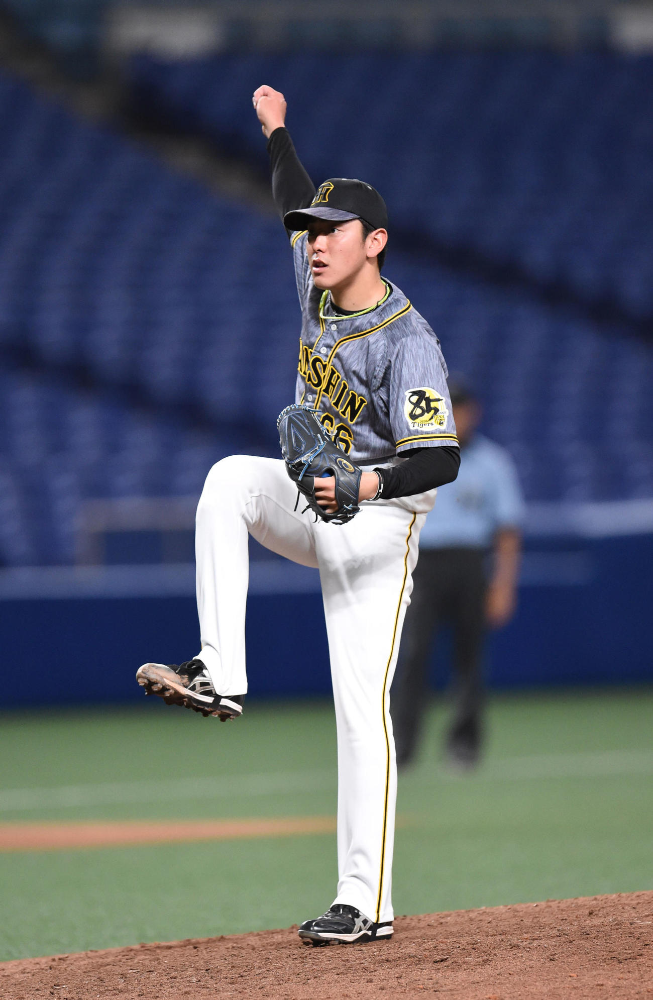 6回裏、阪神3番手で登板する小川（撮影・森本幸一）
