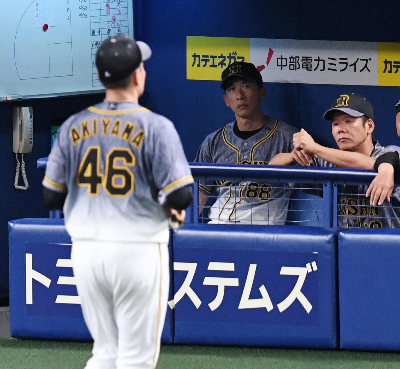 交代でベンチに戻る秋山を見る矢野監督（撮影・前岡正明）