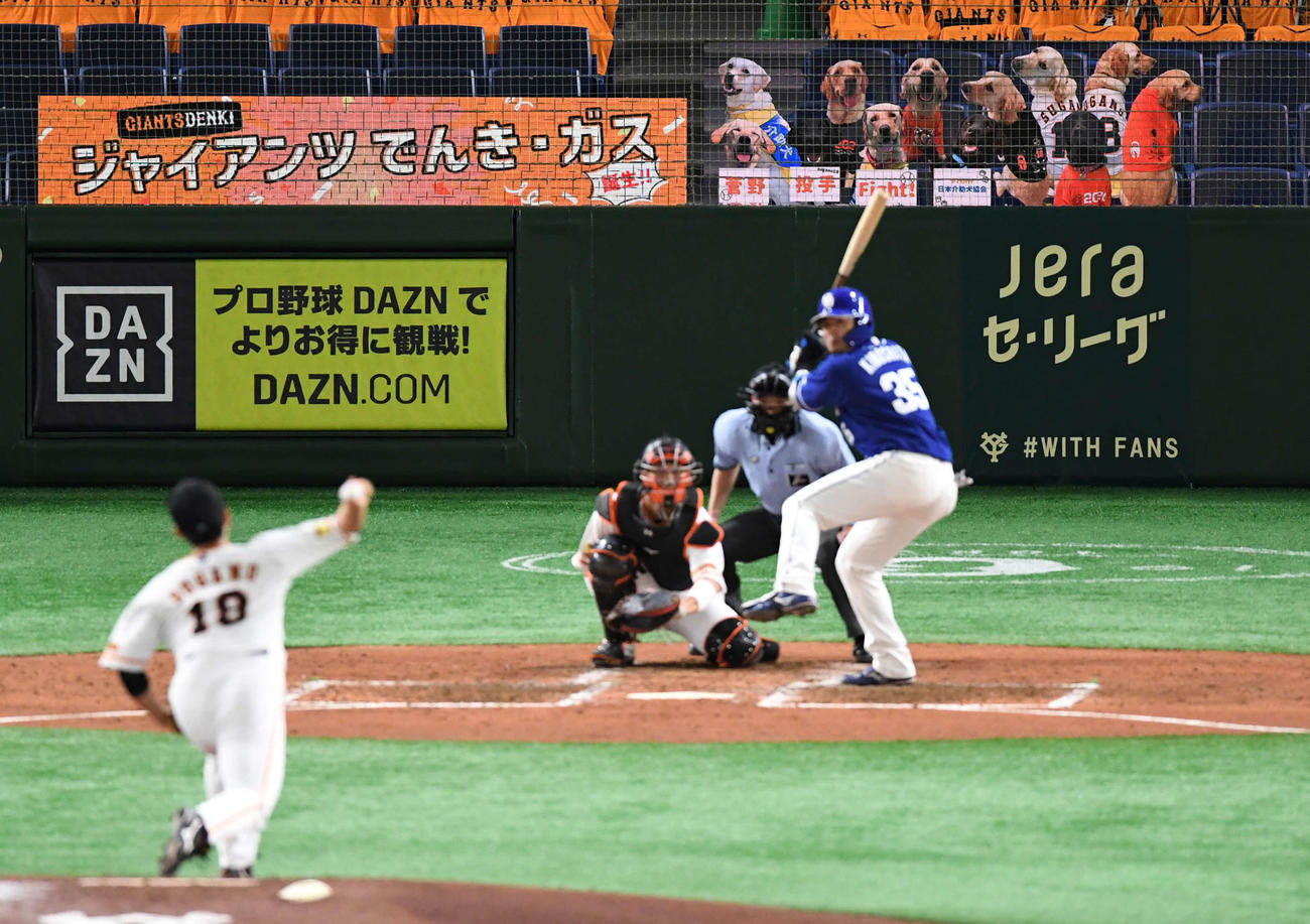 巨人対中日　登板した菅野を応援するため映し出された介助犬（撮影・山崎安昭）