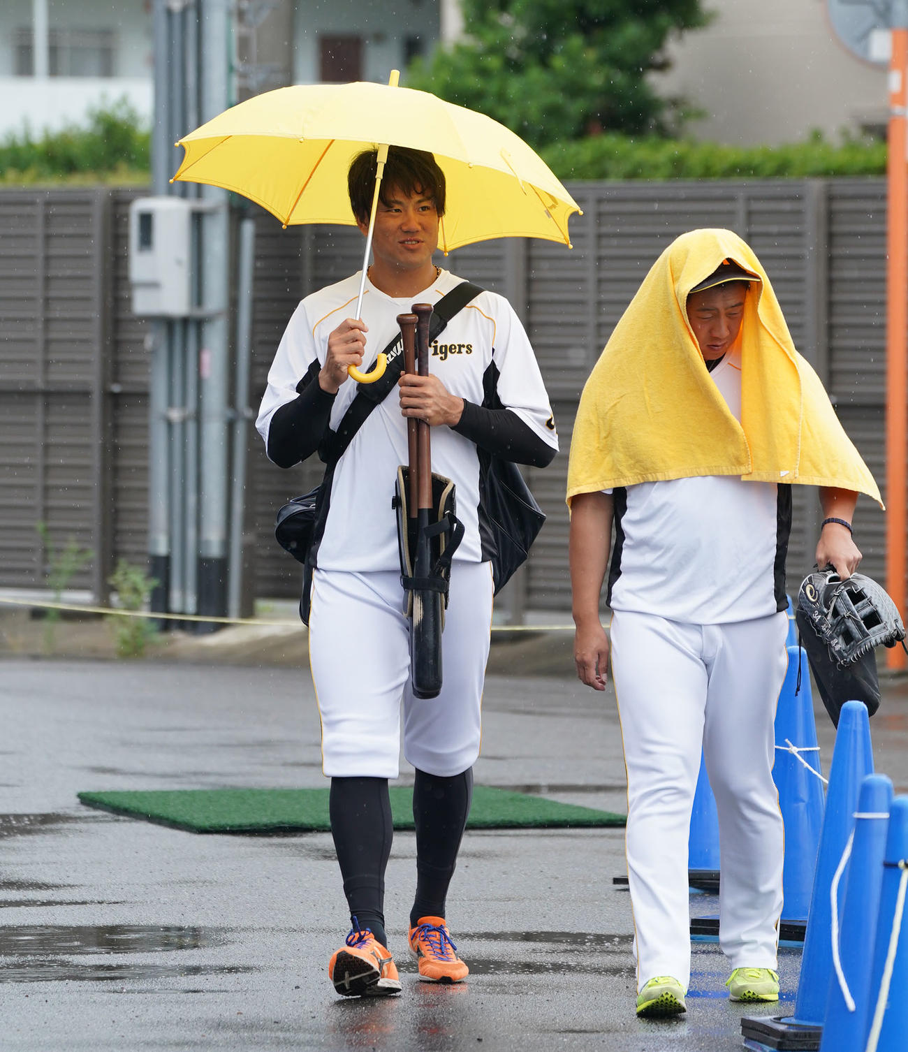 プロ野球ウエスタンリーグ　中日対阪神　雨天中止となり傘をさし屋内練習場へ向かう中谷将大（左）（撮影・森本幸一）