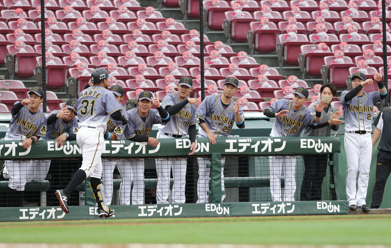 広島対阪神1回戦　1回表阪神2死二塁、左中間に先制2点本塁打を放ったマルテを迎える阪神ナイン（撮影・加藤孝規）