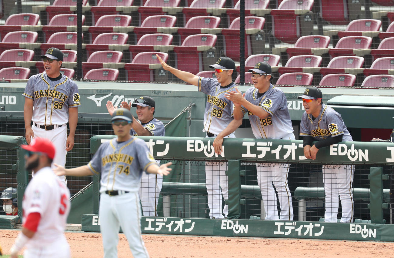 広島対阪神2回戦　3回表阪神2死満塁、ボーアが満塁本塁打を放ち、手をあげて喜ぶ矢野燿大監督ら阪神ベンチ（撮影・前田充）