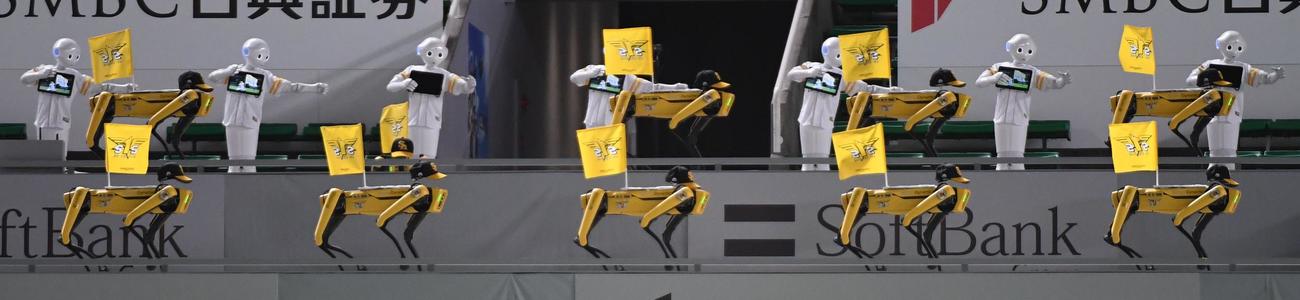ソフトバンク対楽天　7回裏、左中間スタンド特設ステージで人間ロボット「ペッパー」と4足歩行型ロボット「スポット」がコラボレーションダンスを披露（撮影・今浪浩三）