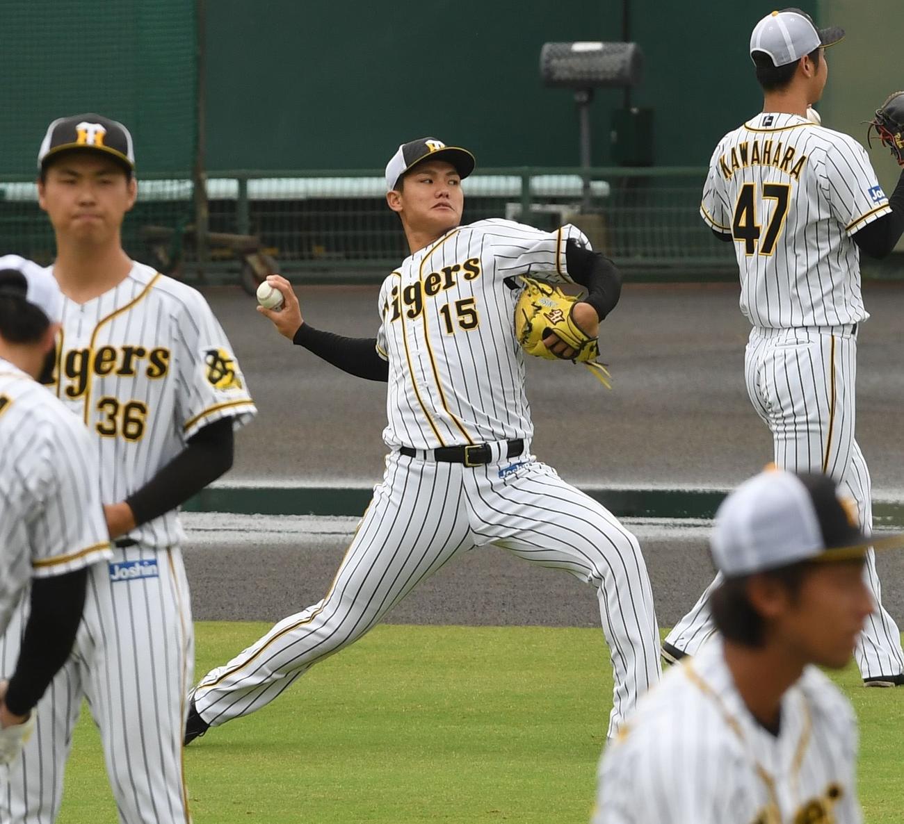 キャッチボールをする阪神・西純矢（代表撮影）