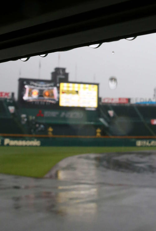 阪神対巨人　試合前、巨人の練習中に雨が降りだした（撮影・河野匠）