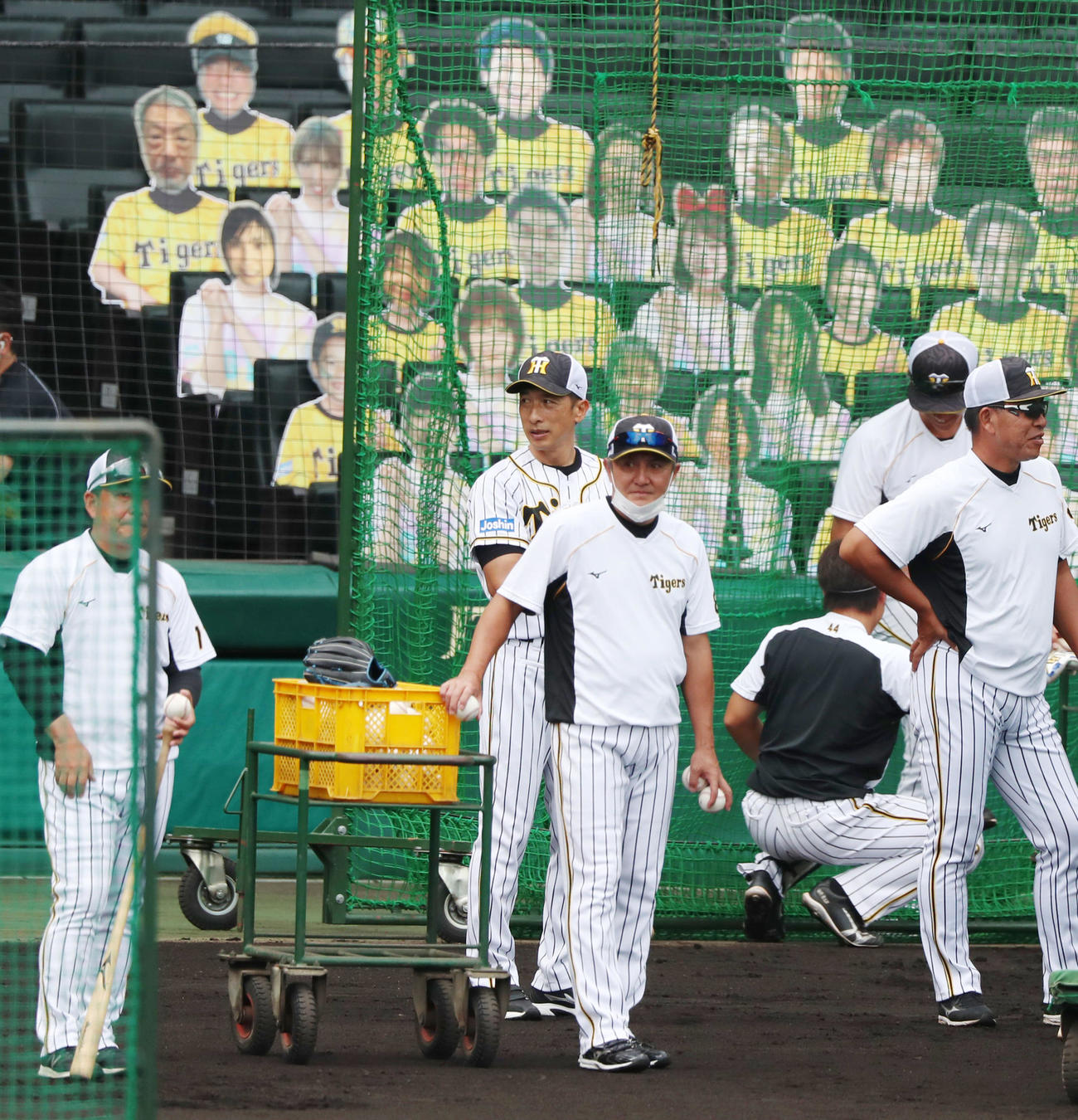 阪神対巨人　練習を見守る阪神矢野監督、右は清水ヘッドコーチ、右端は井上コーチ（撮影・加藤哉）