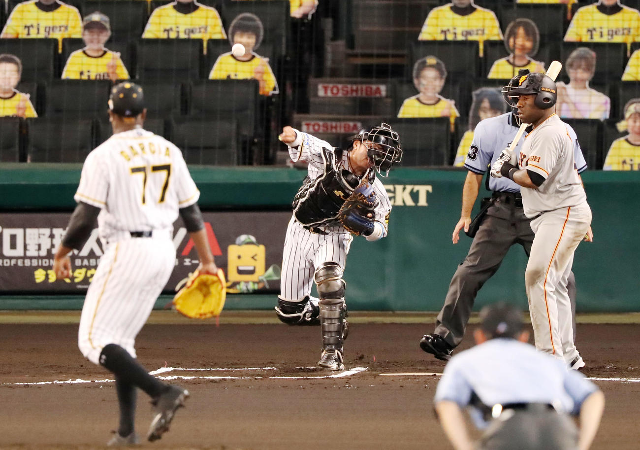 阪神対巨人　6回表巨人1死一塁、梅野は打者ウィーラーのとき、中島の二塁盗塁を刺す（撮影・加藤哉）