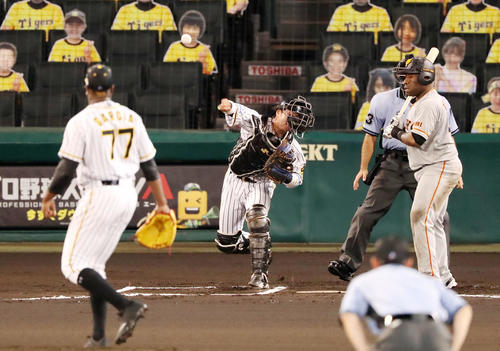 阪神対巨人　6回表巨人1死一塁、梅野は打者ウィーラーのとき、中島の二塁盗塁を刺す（撮影・加藤哉）