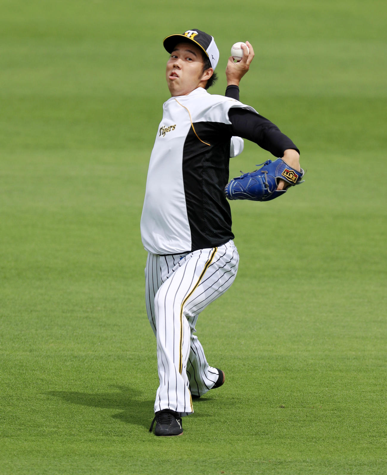 外野でキャッチボールする阪神青柳（撮影・加藤哉）