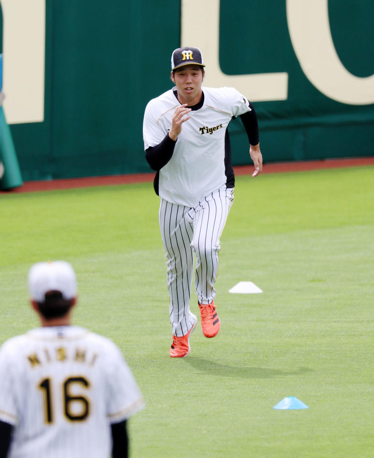 外野でダッシュする阪神青柳（撮影・加藤哉）