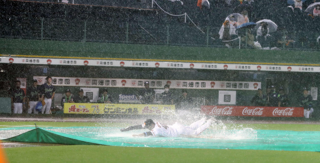 巨人対ヤクルト　試合が中止となり、ヘッドスライディングを披露する巨人岸田（撮影・河野匠）