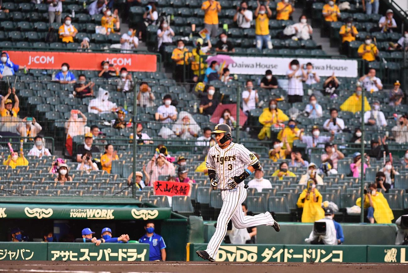 阪神対DeNA　1回裏阪神1死、応援するファンを背に左越えソロ本塁打を放つ大山悠輔（撮影・上田博志）