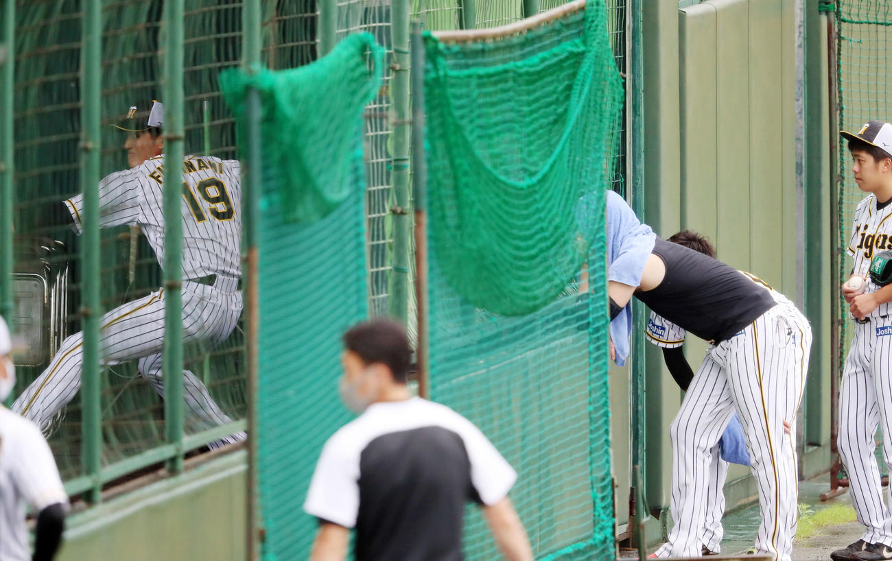 ブルペンを注視するナインを横目に投球練習する藤浪（撮影・加藤哉）