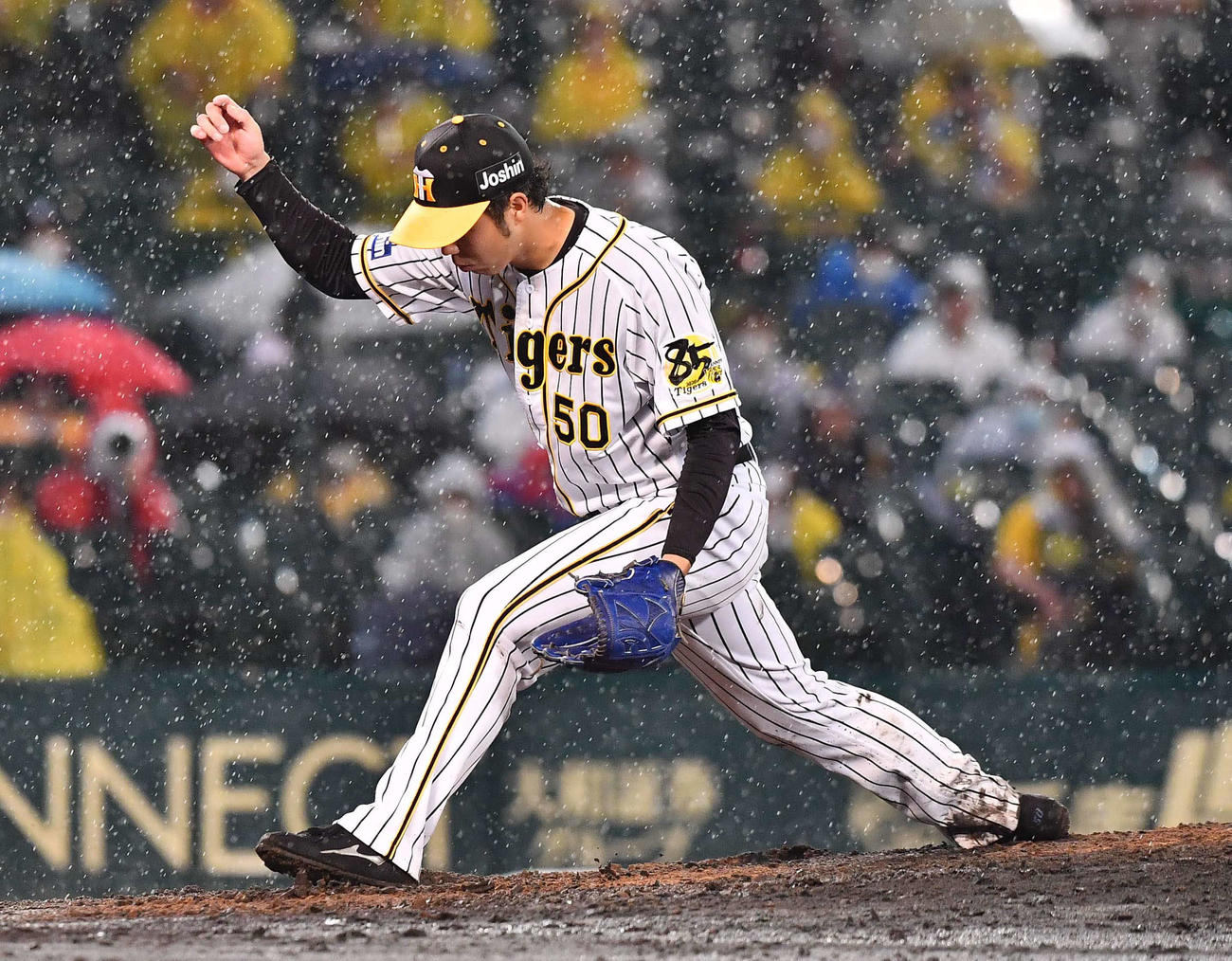 阪神対DeNA　5回、ぬかるんだマウンドで足を滑らせる青柳晃洋（撮影・上田博志）