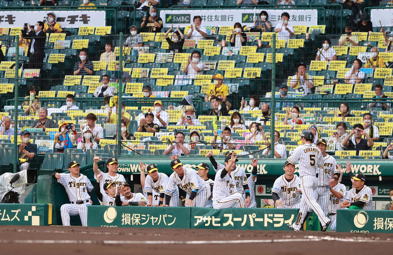 阪神対DeNA　1回裏阪神無死、中越え本塁打を放った近本をエアタッチで迎えるナインと、拍手で迎えるファン（撮影・清水貴仁）