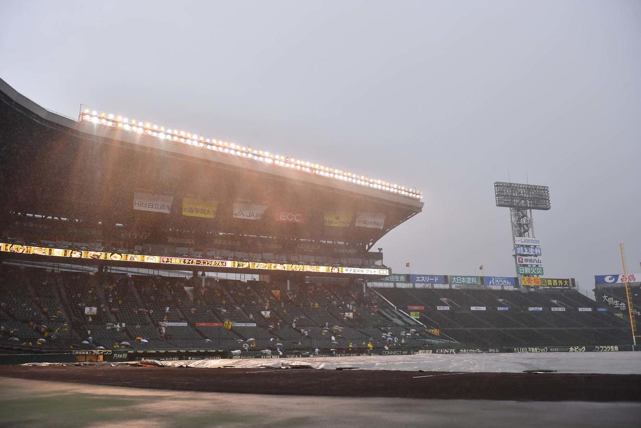 阪神対DeNA　突然雨が降り出しシートがかけられる甲子園球場（撮影・上田博志）