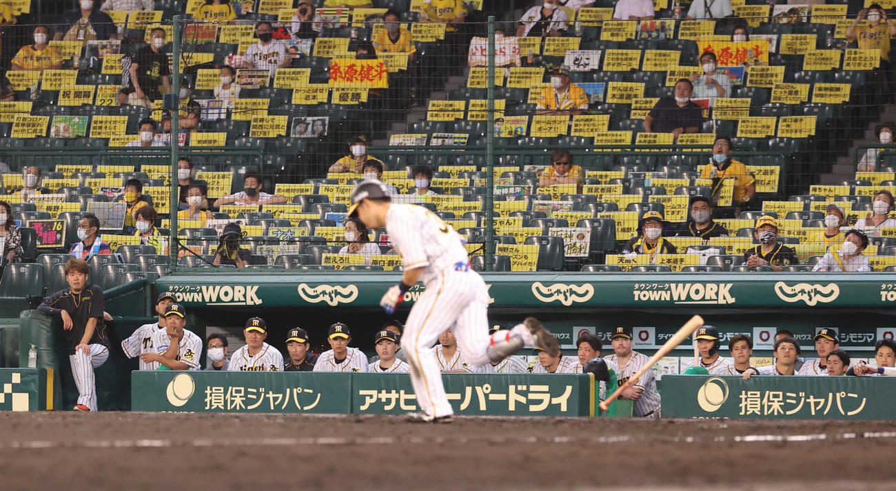 阪神対DeNA　9回裏阪神2死一、三塁、最後は糸原が空振り三振で阪神が逆転負けとなる（撮影・清水貴仁）