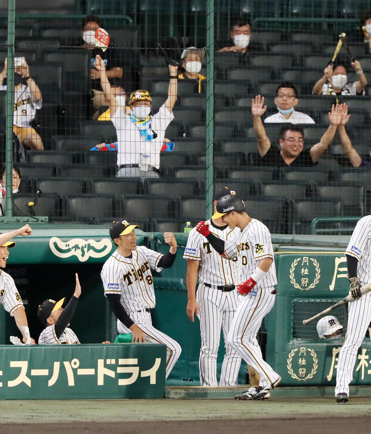 阪神対ヤクルト　6回裏阪神1死一塁、木浪（右）は左越え2点本塁打を放ちベンチの矢野監督とエアタッチする（撮影・加藤哉）