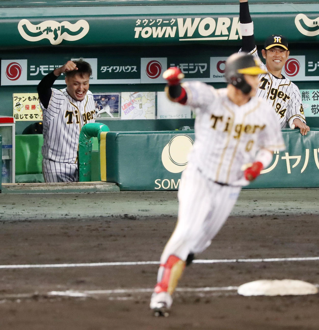 阪神対ヤクルト　6回裏阪神1死一塁、木浪の左越え2点本塁打にベンチでガッツポーズを見せる秋山（撮影・加藤哉）