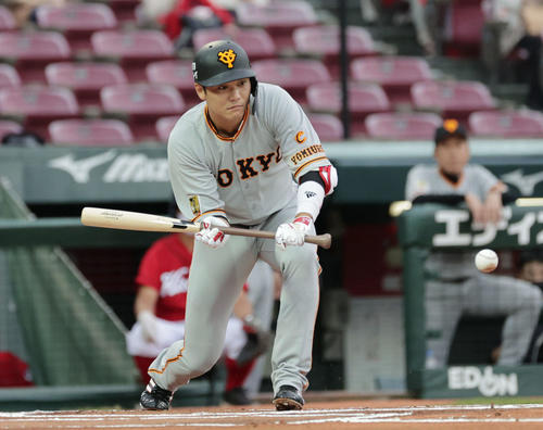 広島対巨人5回戦　1回表巨人無死一塁、送りバントを決める坂本（撮影・加藤孝規）