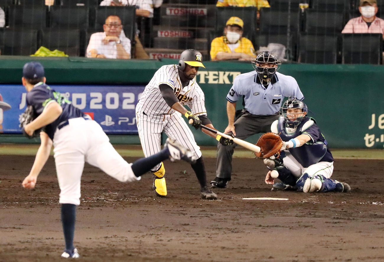 阪神対ヤクルト　5回裏阪神無死、ガルシアは三塁線にセーフティーバントを決める（撮影・加藤哉）