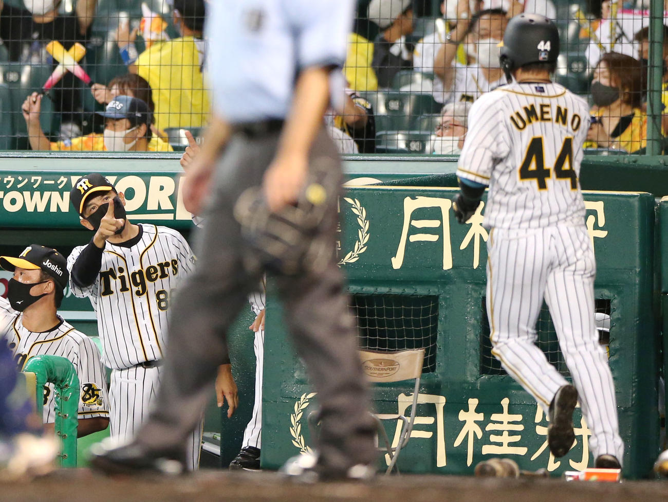 阪神対ヤクルト　6回裏阪神1死満塁、糸原の右犠飛で生還した梅野を笑顔で迎える矢野監督（左から2人目）（撮影・上山淳一）