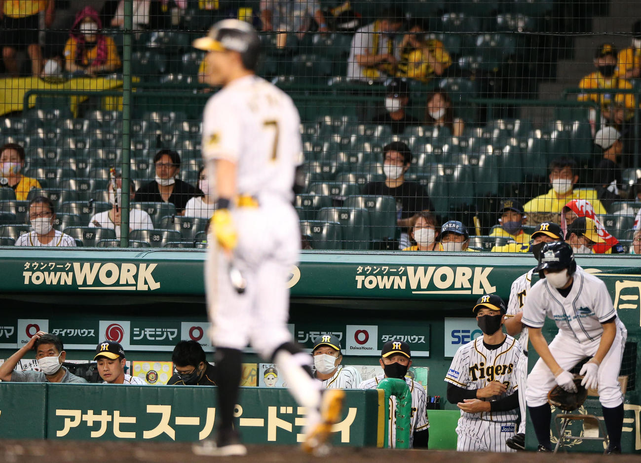 阪神対ヤクルト　6回裏阪神2死一、三塁、糸井は見逃し三振に終わりじっと見つめる矢野監督（右から3人目）（撮影・上山淳一）