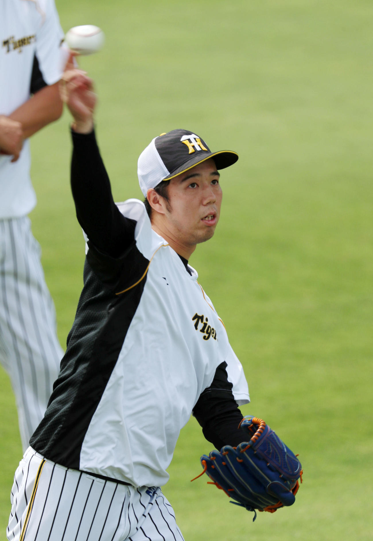 阪神対ヤクルト　練習でキャッチボールする阪神青柳（撮影・加藤哉）