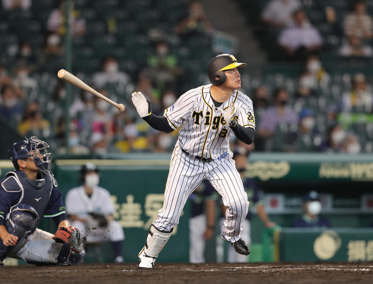 阪神対ヤクルト　8回裏阪神1死一塁、福留は中越え勝ち越し2点本塁打を放つ（撮影・前田充）