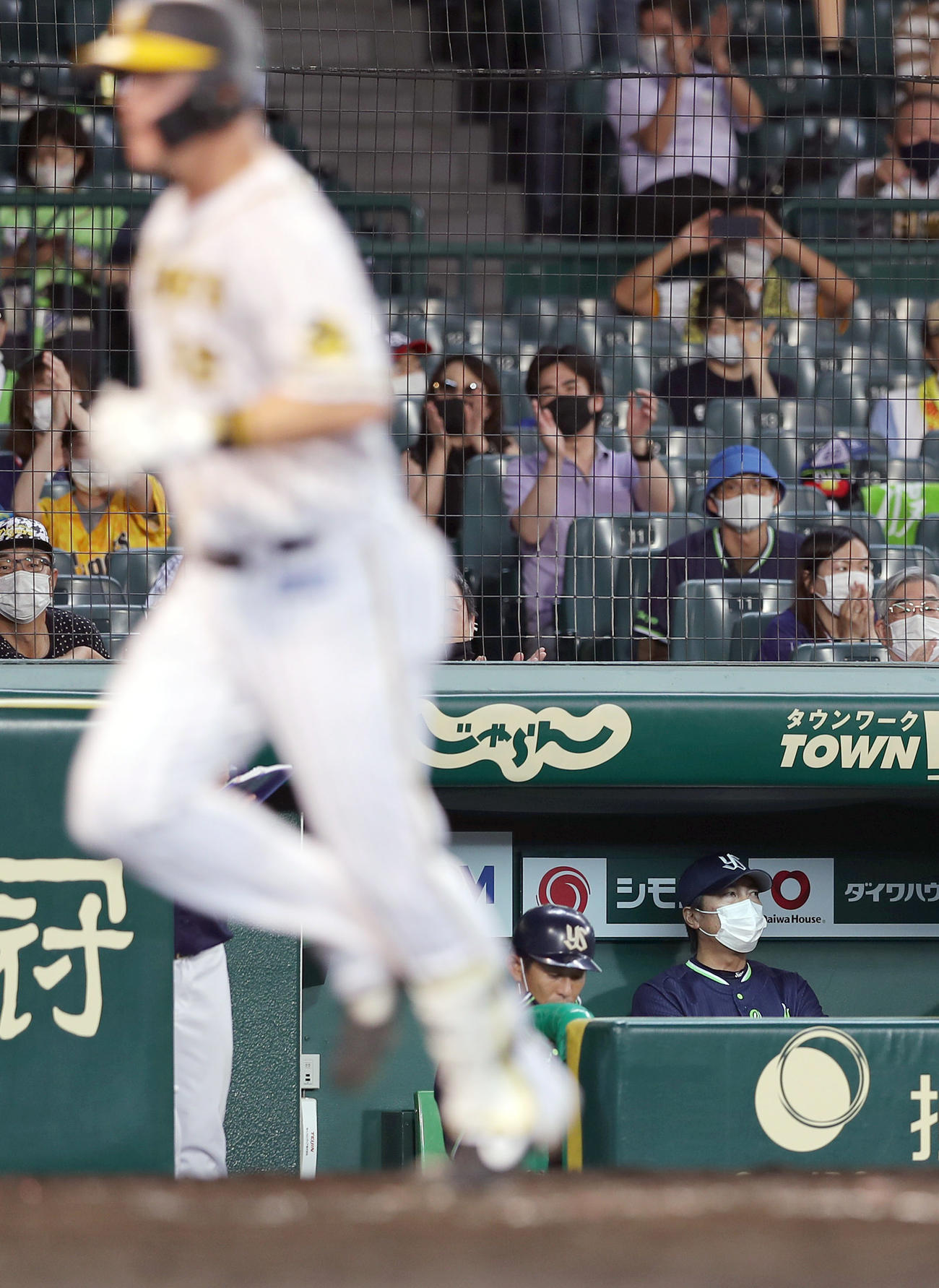 サンズに同点本塁打を浴び、ベンチで厳しい表情を見せる高津監督（右）（撮影・前田充）