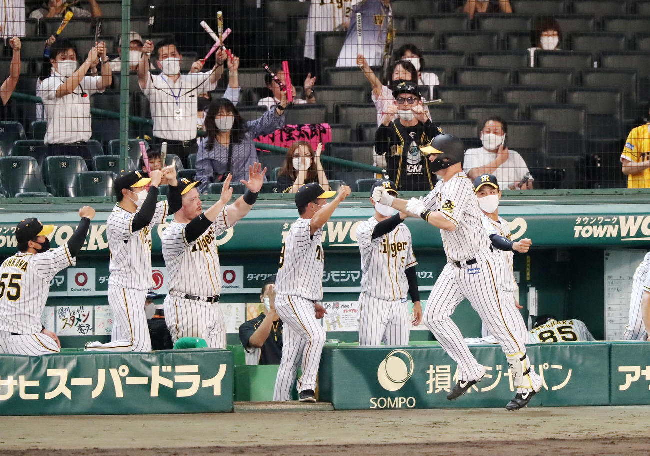 阪神対ヤクルト　8回裏阪神1死、サンズは左越え本塁打を放ちベンチのナインとエアタッチする（撮影・加藤哉）