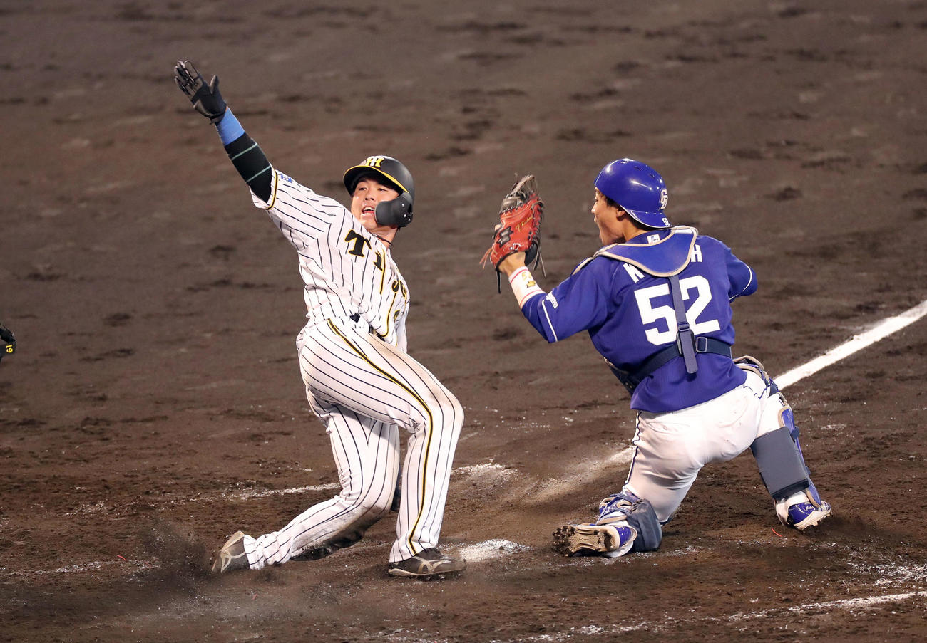 阪神対中日　5回裏阪神無死二、三塁、西勇のスクイズで生還する梅野。捕手加藤（撮影・前田充）
