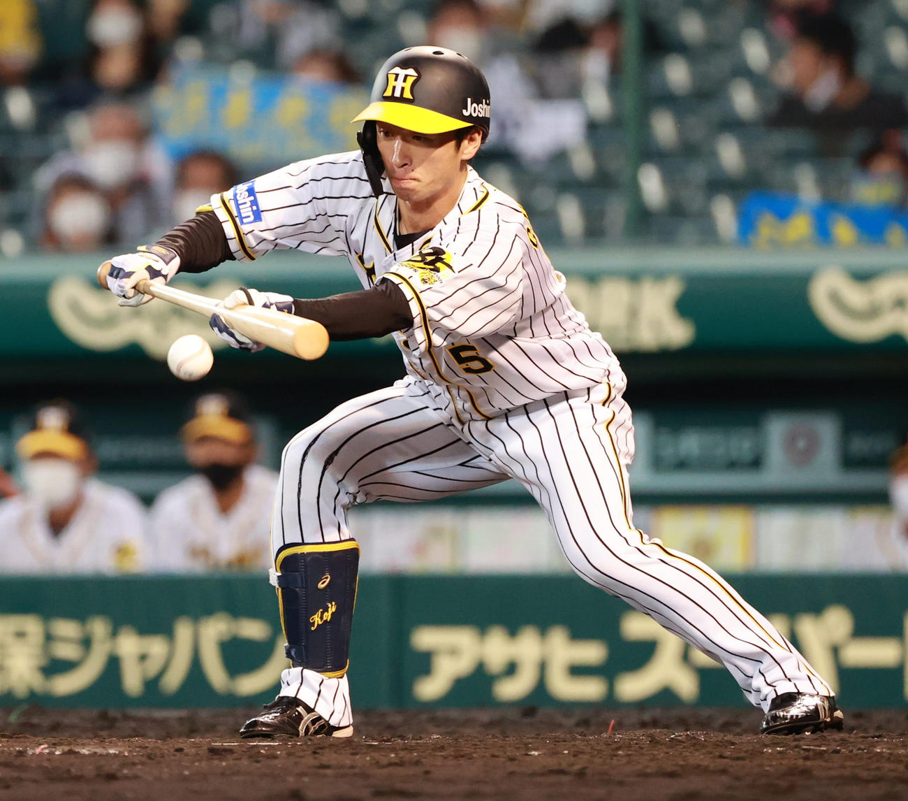 阪神対中日　5回裏阪神無死一、二塁、投前に犠打バントを決める近本光司（撮影・清水貴仁）