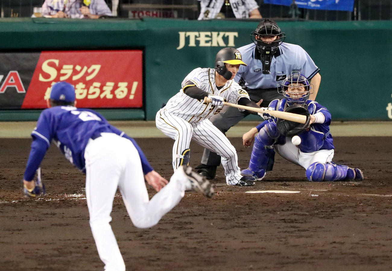 阪神対中日　5回裏阪神無死一、二塁、近本は投前犠打を決める（撮影・加藤哉）