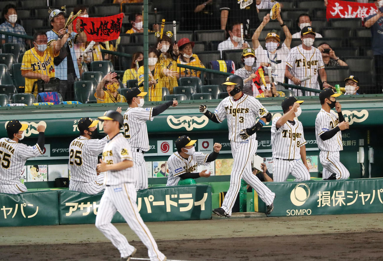 阪神対中日　5回裏阪神1死二塁、大山は左越え2点本塁打を放ちベンチのナインとエアタッチする（撮影・加藤哉）