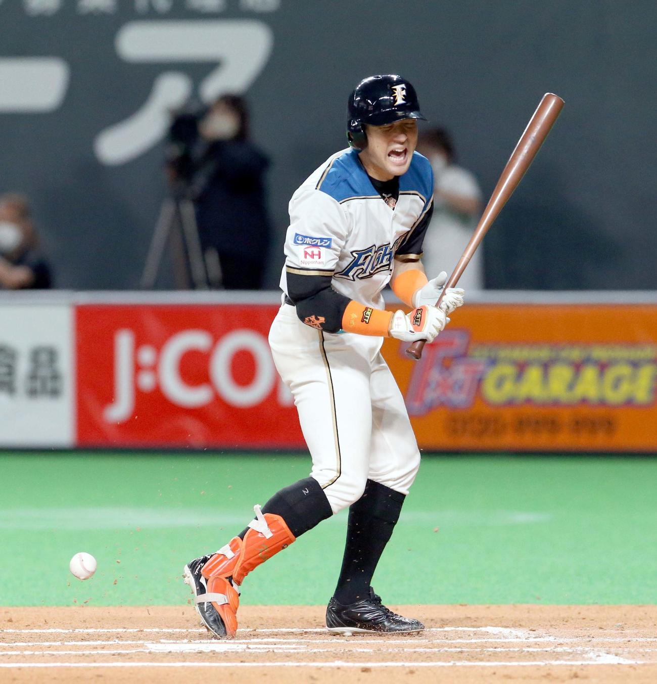 日本ハム対ロッテ　6回裏日本ハム2死満塁、杉谷は死球を受ける（撮影・佐藤翔太）