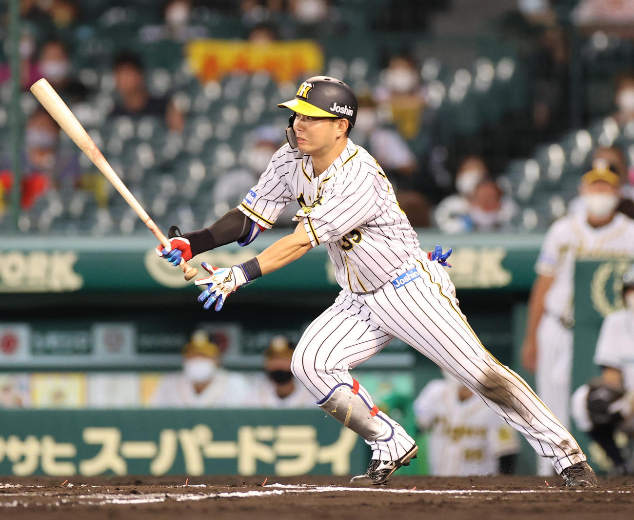 阪神対中日　6回裏阪神無死、中前打を放つ糸原健斗（撮影・清水貴仁）