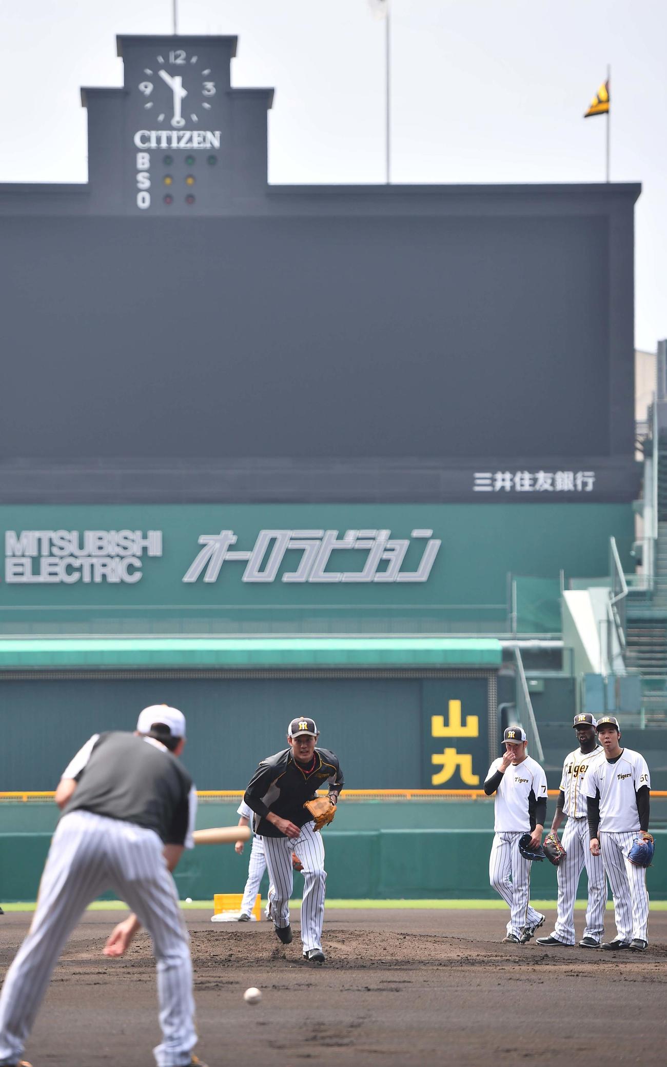 甲子園でノックを受ける藤浪晋太郎（撮影・上田博志）