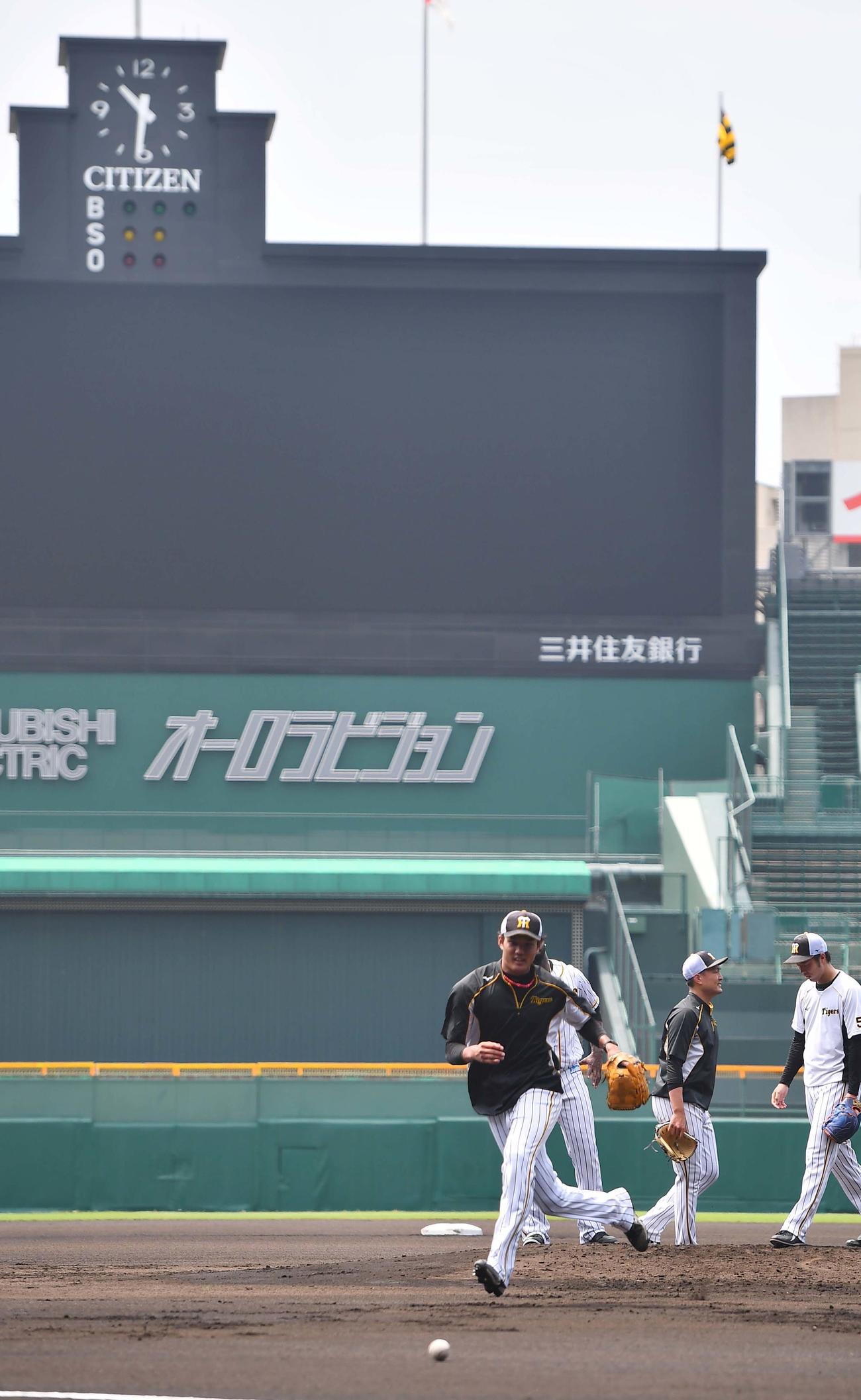 甲子園でノックを受ける藤浪晋太郎（撮影・上田博志）