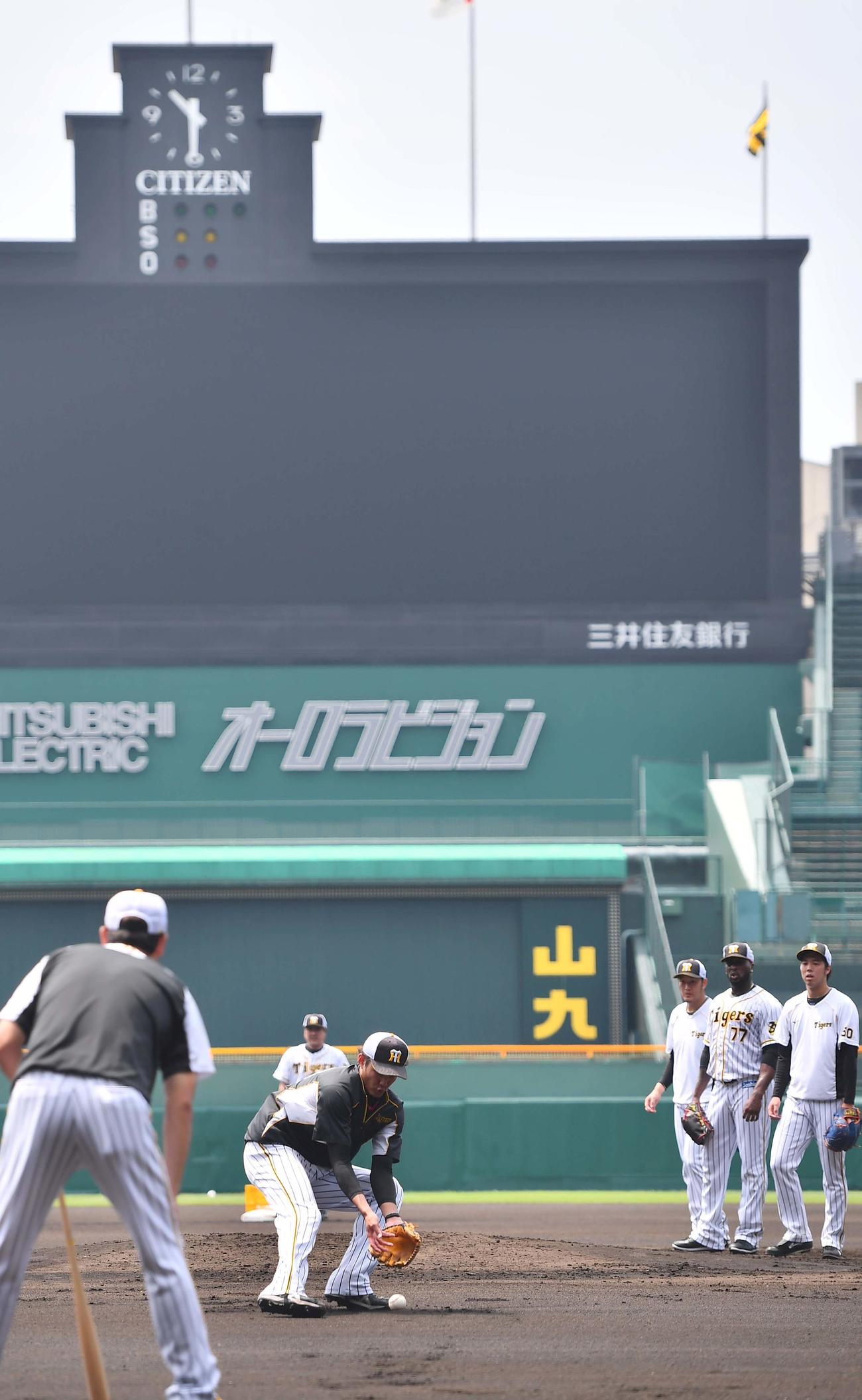 甲子園でノックを受ける藤浪晋太郎（撮影・上田博志）
