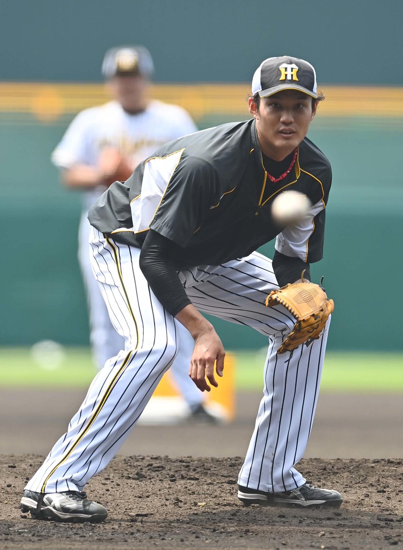 ノックを受けて汗を流す藤浪晋太郎（撮影・上田博志）
