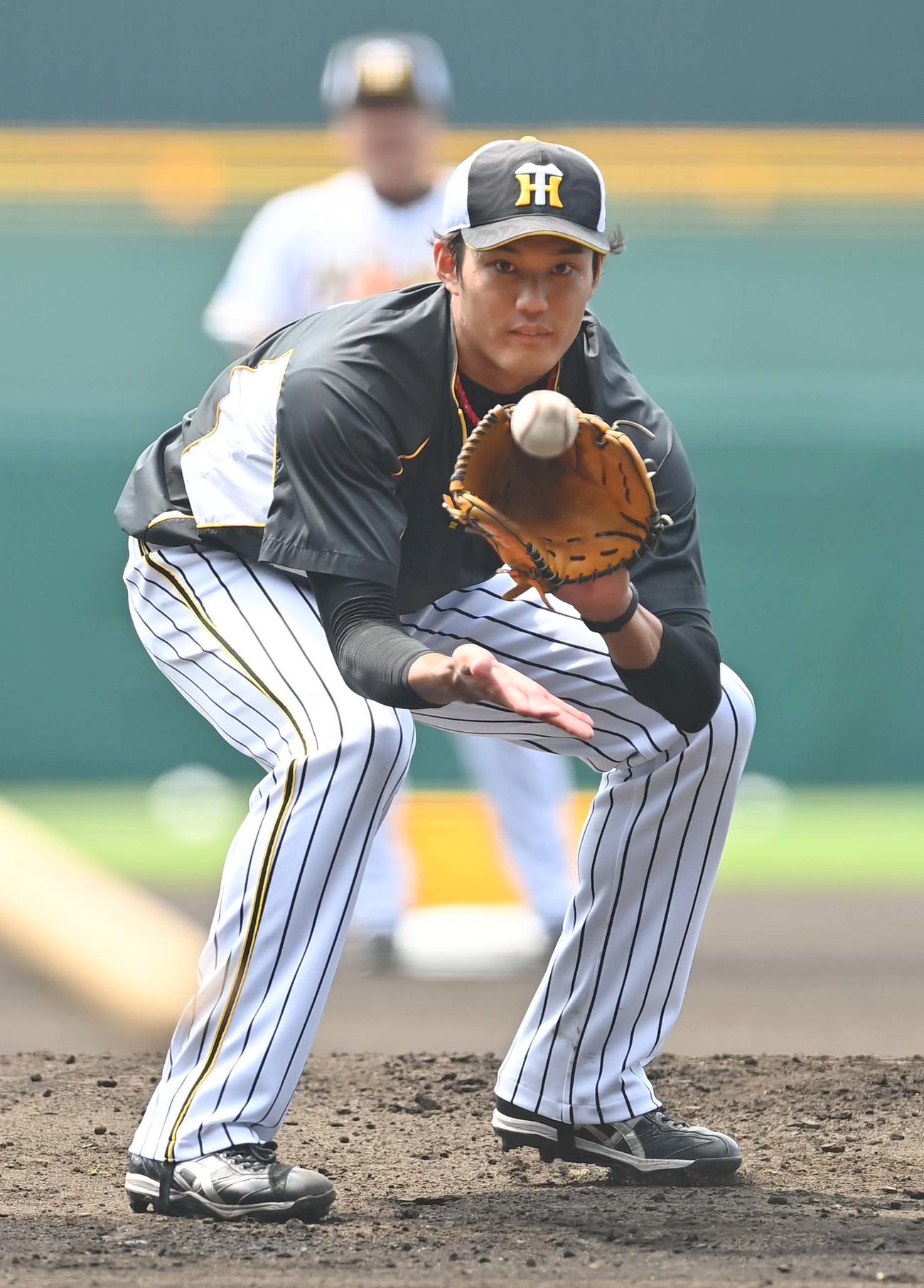 ノックを受けて汗を流す藤浪晋太郎（撮影・上田博志）