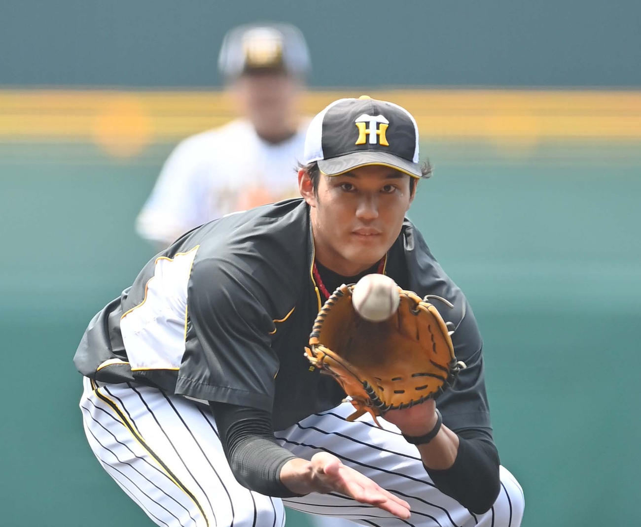 甲子園でノックを受ける藤浪（撮影・上田博志）