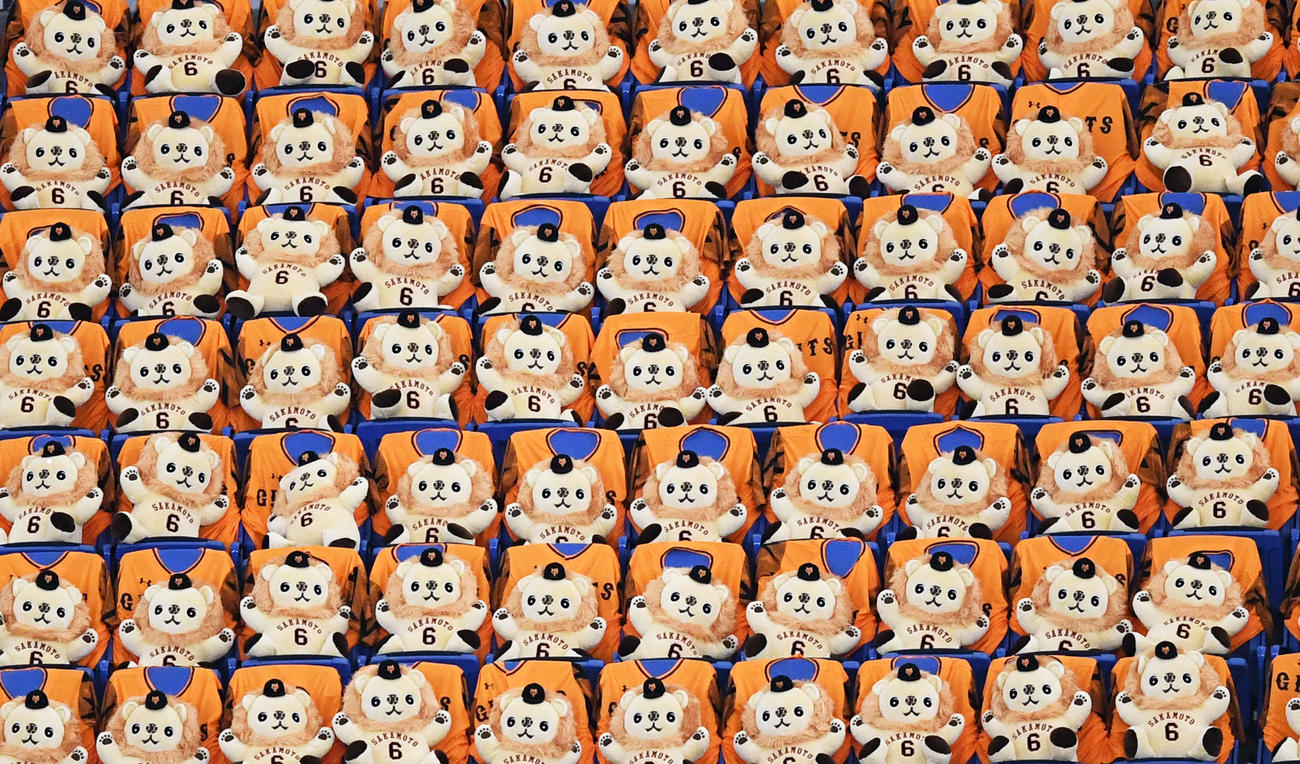 2000体のライオンハヤト