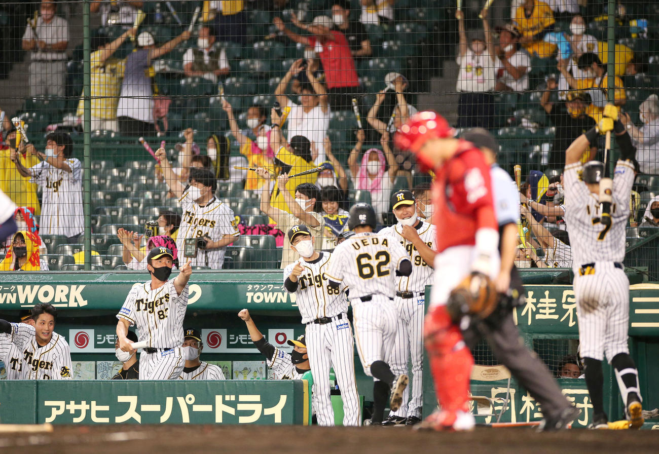 近本の右前適時打で生還した植田（手前）を笑顔で迎える矢野監督ら阪神ベンチ（撮影・上山淳一）