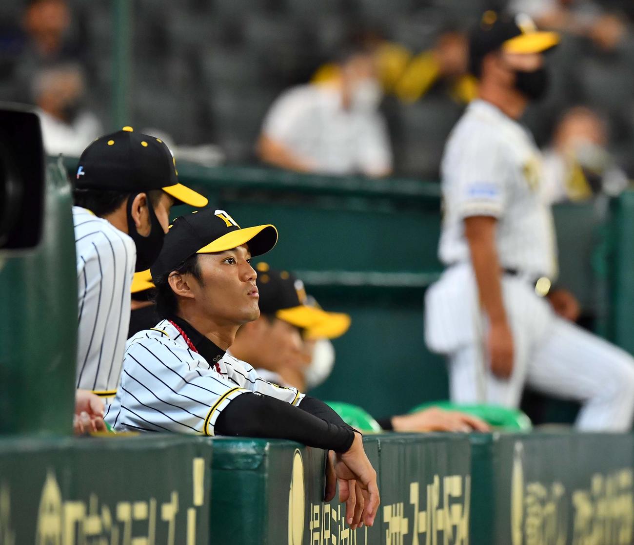 阪神対広島　ベンチからスコアボードを見つめる藤浪晋太郎（撮影・上田博志）