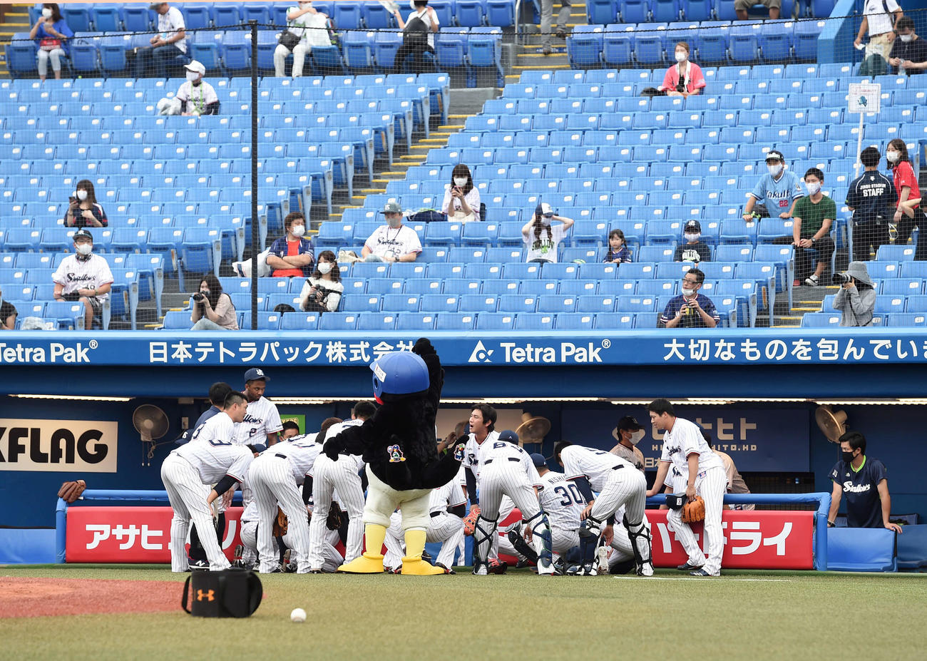 ヤクルト対巨人　観客を背に円陣組むヤクルト（撮影・たえ見朱実）