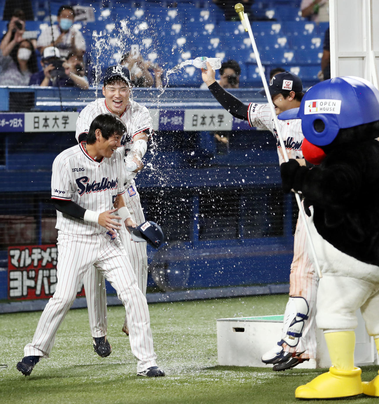 ヤクルト対巨人　サヨナラ打を放ち、ヒーローインタビューで村上（後方）らから水をかけられる川端（撮影・狩俣裕三）