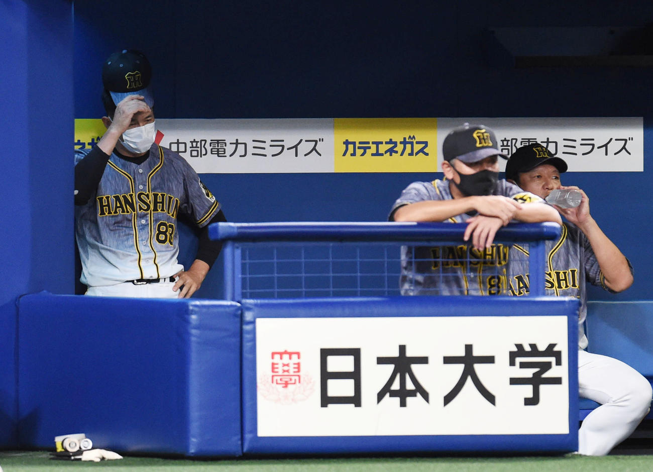 プロ野球中日対阪神　4回表、ベンチ帽子をかぶり直す矢野燿大監督（撮影・森本幸一）